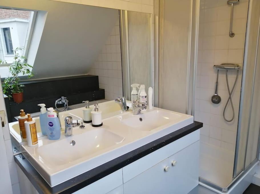 Charming Duplex In Center Antwerpen